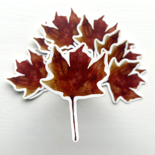 Watercolour Autumn Chestnut Maple Leaf Vinyl waterproof Sticker