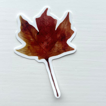 Watercolour Autumn Chestnut Maple Leaf Vinyl waterproof Sticker