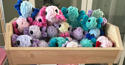 Crochet Plushies Made to Order Axolotl Small