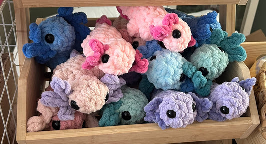 Crochet Plushies Made to Order Axolotl Medium